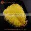 CHINA HX wholesale colored ostrich feathers for sale