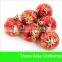 Hot Selling Cheap Christmas Ball For Decorations