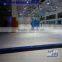 hockey skates/fake plastic ice/ice dasher board