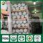 Shiitake Mushroom Chips,Wild Mushroom,Champigno Mushroom Cultivation