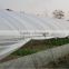 Agriculture plastic film for green house