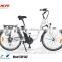 Long Range 250W Motor Suspension Electric Bike