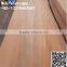 A Grade Crown Cut Natrual Gurjan Wood Veneer