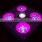 Geyapex SOLO 200w CXA COB LED Grow Light with Full Spectrum Output Best Seller 2015