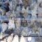 Light Smoky Rock Crystal Quartz Clusters Centerpieces for Wholesale
