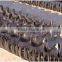 Hot sale!CE certificate! Real manufacturer! TWLL Series animal feed screw conveyor