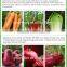 light yellow amino acids 80% animal source organic fertilizers