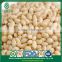 Supplier of Raw and Roasted Chinese Cedar Pine Nut Kernels