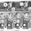 cylinder head TD23,same as the original one