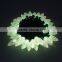 Programmable WS2801 Led Christmas Lights for Holiday Decoration