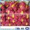 PP red mesh bag for potato cheap mesh bag 25KG