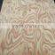oak/beech/sapele wood veneer