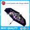 Special Color Changing Umbrella for Gifts