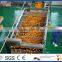 turn key full automatic orange juice processing line