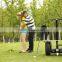 self balance electric golf cart,cheap golf cart for sale,two wheels golf cart