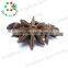 Natural Chinese Cooking Spice Dry Whole Selected Star Anise Without Stem