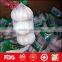 New crop fresh natural white nice garlic