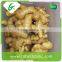 Chinese fresh ginger seeds for sale