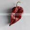 Baked Dark Red paprikar Bulk