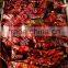Paper Box Paprika Pods