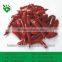 2014 NEW CROP HIGH QUALITY DRY CRUSHED CHILLI WITH SEEDS
