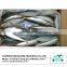 Price for whole pacific mackerel fish in high quality