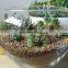 Water Retain Growing Media Expanded Vermiculite/Perlite