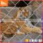Fence for animal hot dipped galvanized diamond mesh fence and chain link fencing