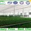 commercial prefabricated green house china