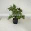 mini bonsai sall bonsai artificial tree bonsai
