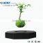 Factory price levitating display bonsai floating plant pots