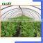 Quick delivery pla biodegradable material with good quality