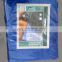 waterproof pe tarpaulin sheet for car/truck/boat cover in various size and specification