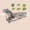 mulberry mango cleaner machine leafy vegetable washer fruit and vegetable washer