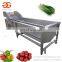 Good Quality Automatic Blueberry Pepper Orange Date Bubble Washer Leek Cabbage Leafy Vegetable Washing Machinery