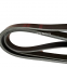 Epdm multi rib belt oem 500341810/12PK1830 for IVECO power transmission belt engine belt fan belt ramelman belts