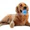 Cute summer heat cooling toy set for pet dog chew for teeth cleaning