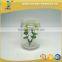 250ml tissue culture glass jar with plastic cap/ lids for plant