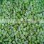 Sinocharm High Quality Hot Selling BRC A Approved IQF Peeled Kiwi Cubes Frozen Diced Kiwi