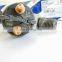 Genuine Diesel Injector 0445120361,5801479314 for common rail injector assy