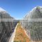 High Quality Plastic Bee Net Anti Mesh Net Against Hail For Tree plant Fruits