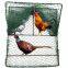 Piège à oiseaux Piège à dird, à poulet, à faucon Piège à dindon sauvage Pièges pour animaux sauvages Outils de cage pour le camping et la chasse, édition améliorée 24x20 pouces