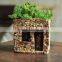 Top Collection Miniature Fairy Garden and Terrarium House Functional Flower Pot for Succulents