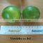 Fresh Green Lemon 2014 - Good price and high quality