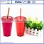 Double Wall Tumbler 16 oz Solid Color BPA Free Plastic Cup with Straw and Screw On Lid Travel Mug