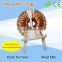 25 Toroidal Power Inductor With White Shell