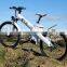 Seagull,cheap electric bike with pas sensor