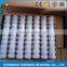Needle bearing K253117, k253216, k283313, k283317, k283327, k283327, k283417