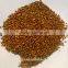 white sorghum seeds for animal feed