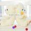 New Design Baby Toy Cute Wholesale Mini Teddy Bear With Embroidery
